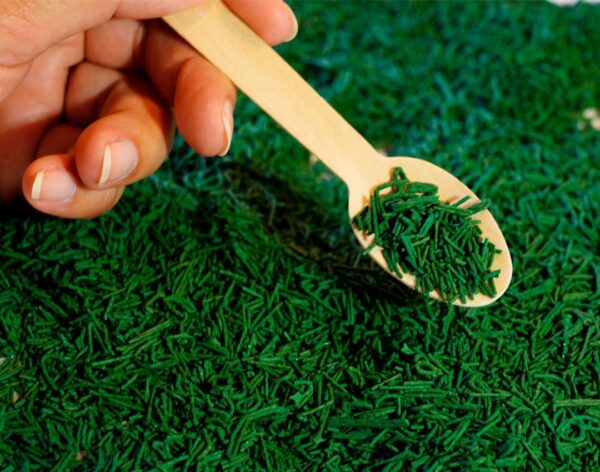 Spirulina en Hebras x115 g. - Imagen 2