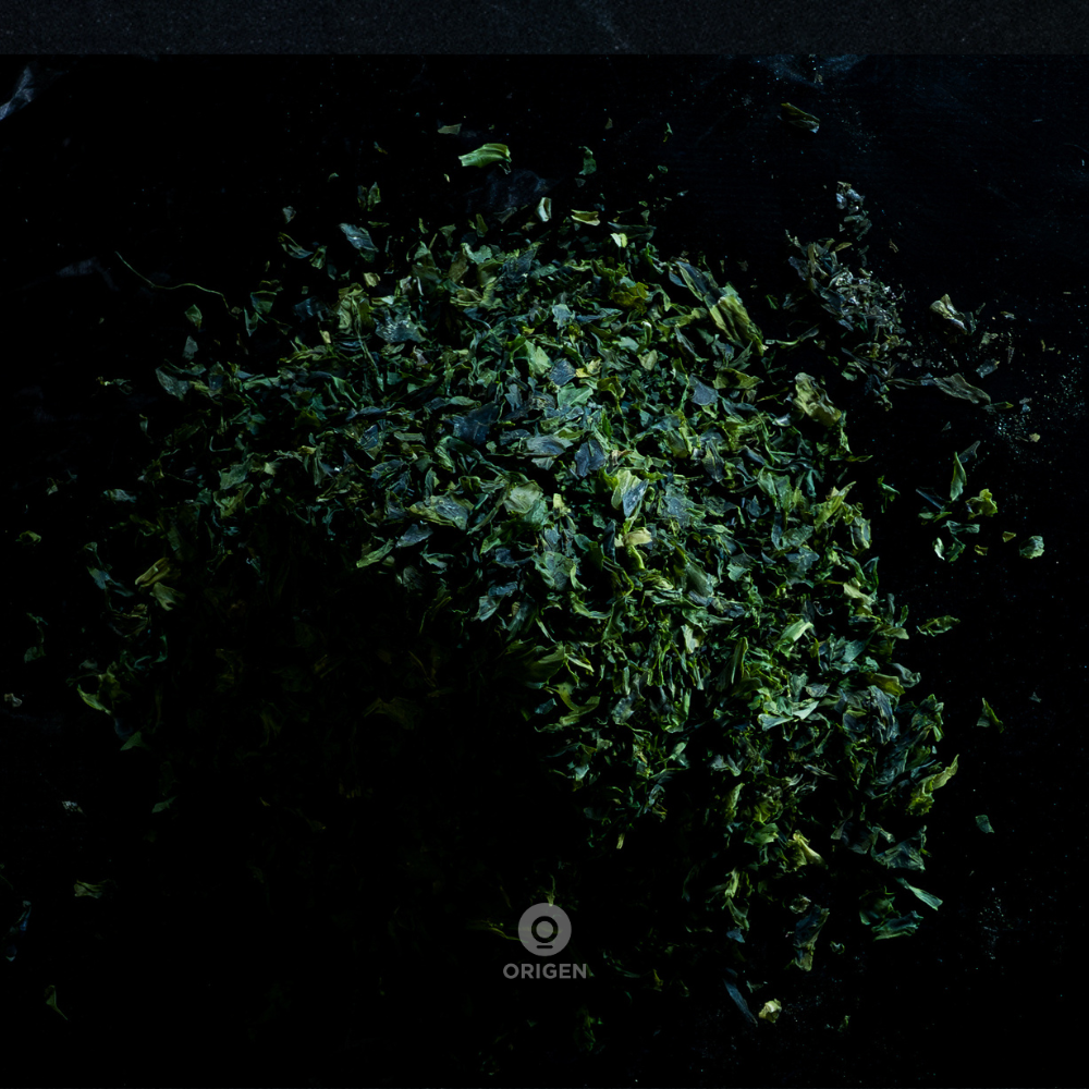 Lechuga de Mar en Hojuelas - Imagen 2