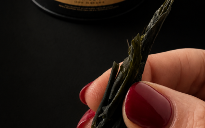 Snack de Alga Wakame | La «Papa Frita» Saludable Lista en 1 Minuto