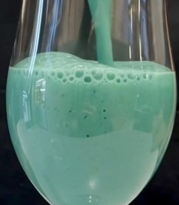 Shake Funcional de Spirulina en Hebras: Energía Real para Empezar el Día