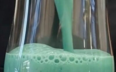 Shake Funcional de Spirulina en Hebras: Energía Real para Empezar el Día